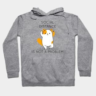 Social distance is not a problem Hoodie